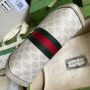 Gucci Ophidia Small Bag 