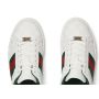 Gucci Ace Sneaker , Size 35-46