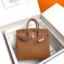 Hermes Birkin 25 in Swift Leather 