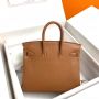 Hermes Birkin 25 in Swift Leather 