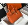 Hermes Birkin 25 /30 / 35 in Togo Leather 