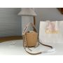 Chloe Woody Small Basket Tote 