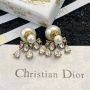 Christian Dior Earrings