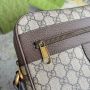 Gucci Small Ophidia Messenger