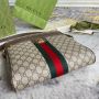 Gucci Small Ophidia Messenger