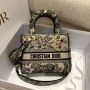 Christian Dior Medium D-Lite Bag 