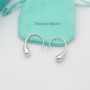 Tiffany & Co earrings